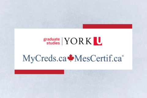Website Banner