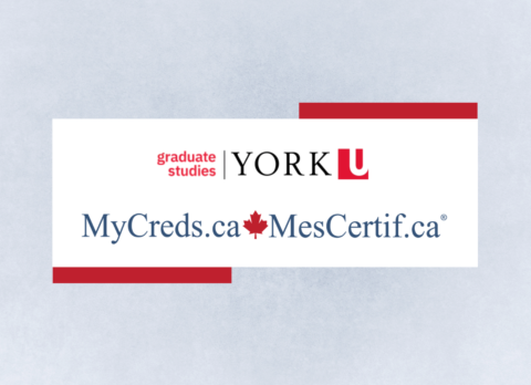 Website Banner