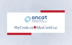 Website Banner