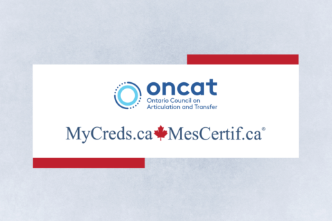 Website Banner
